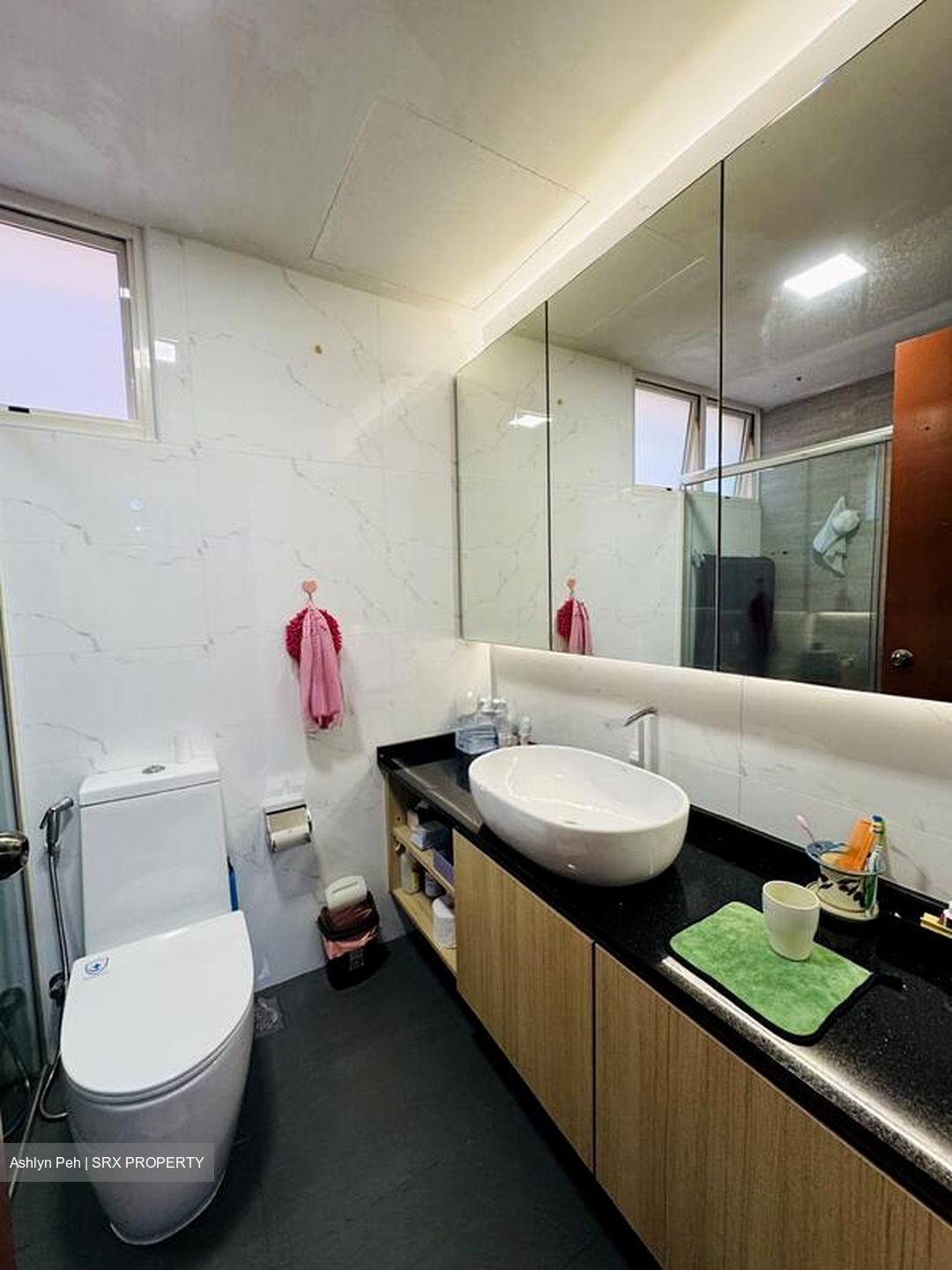 Seletar Springs Condominium (D28), Condominium #504230051